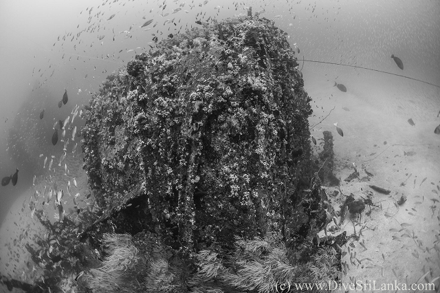 Hollyhock wreck, boiler