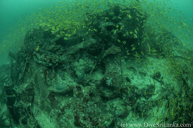 Hollyhock wreck, stern debris 1