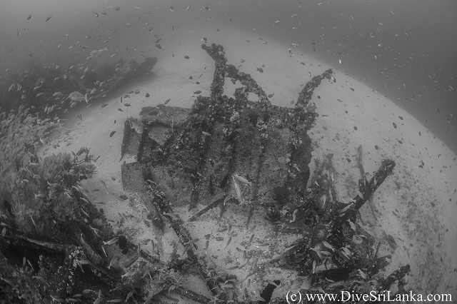 Hollyhock wreck, port side debris