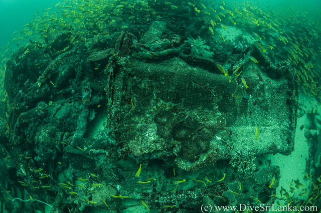 Hollyhock wreck, stern view alt